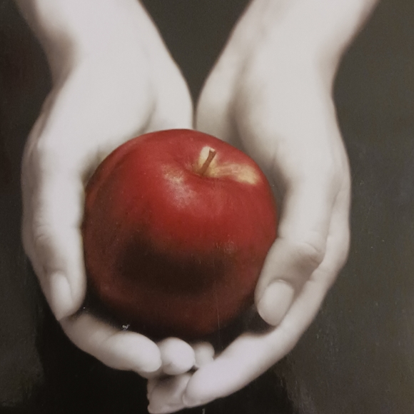 Meet your Posher, Gracie - Picture 2 of 4